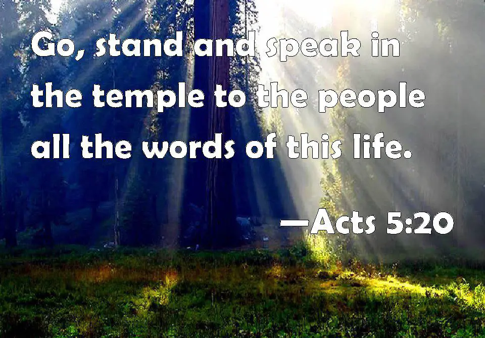 Go, Stand and Speak in the Temple to the People all the Words of This Life