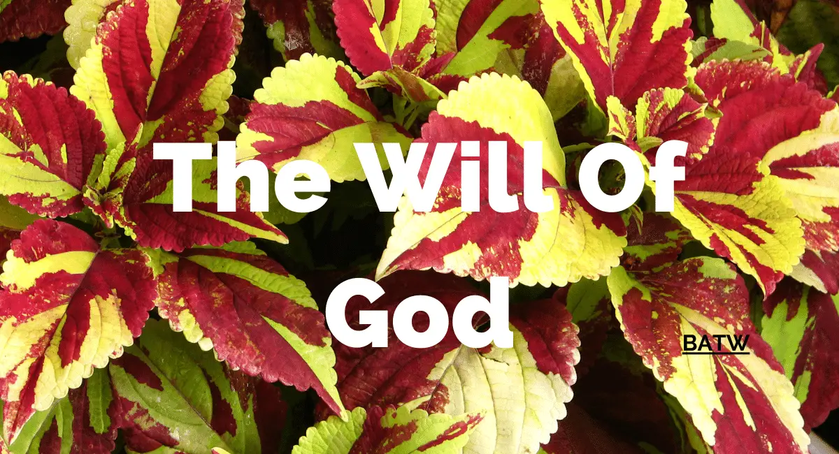 the-will-of-god