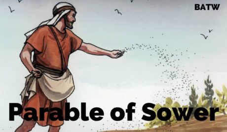 the-parable-of-the-sower