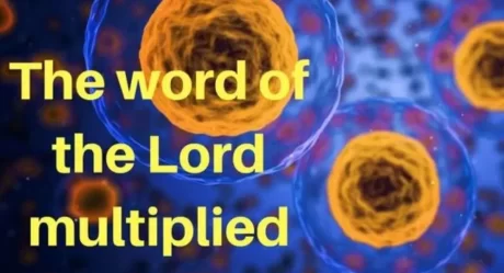 the-word-of-god-Increased