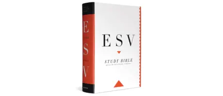 Read more about the article Best Bible For New Believers – ESV Study Bible?