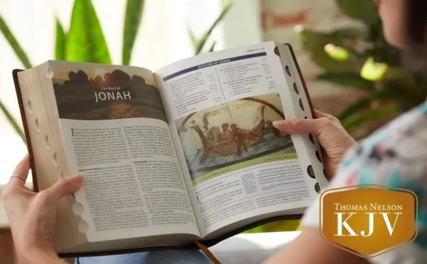 best-study-bible-for-beginners
